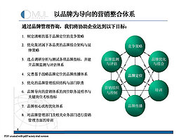 以品牌为导向的营销整合体系ppt
