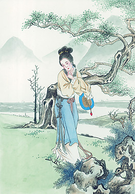 侍女松树