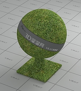 vray草地材质