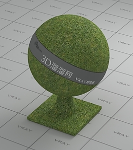 vray草地材质