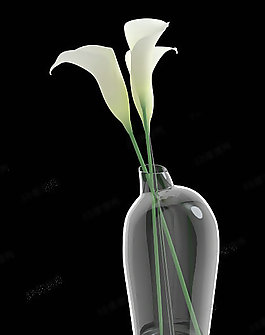 3D百合花模型