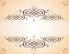 美丽的花纹矢量