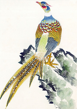 花鸟孔雀
