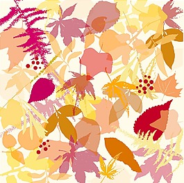 秋天的落叶背景