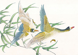 花鸟国画