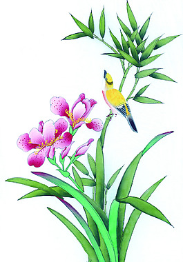 国画花鸟