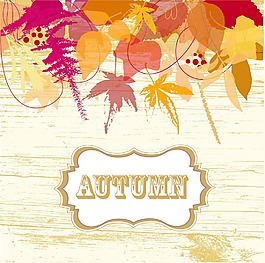 秋天的落叶背景