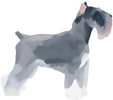 2日正