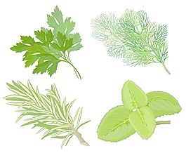香药载体