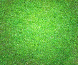 高尔夫绿色背景