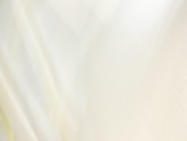 摘要光模糊42个纹理