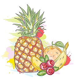 矢量水果丰富多彩的飞溅