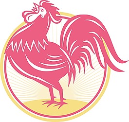 公鸡公鸡啼叫的复古