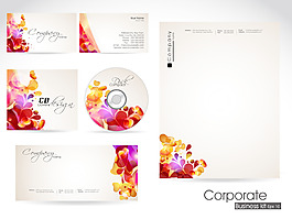 专业的企业形象套件或商业试剂盒