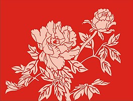 牡丹花