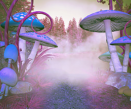 蘑菇魔术背景