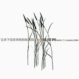 3D草模型