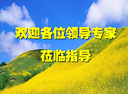 工作汇报PPT模板