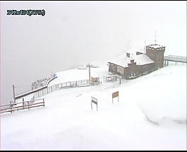 雪地