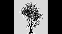树枝特效