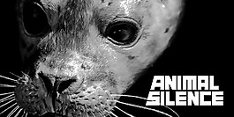 动物的沉默的字体