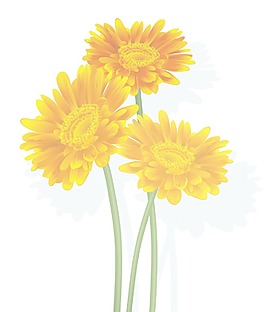 花朵矢量