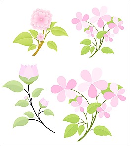 组矢量的花