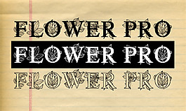 flowerprodemo字体