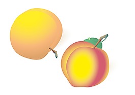 桃矢