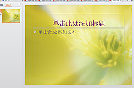 黄花
