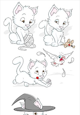 猫载体