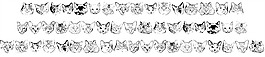 kittyprint AOE字体