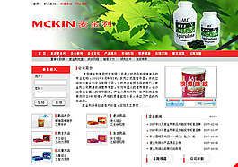 麦金利网页素材
