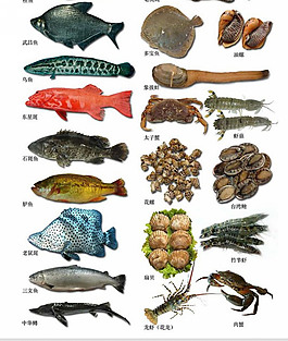 海鲜鱼素材图片