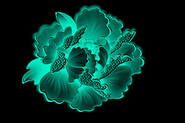 牡丹花