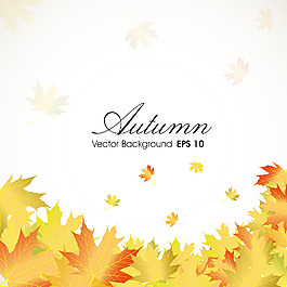 秋天的落叶背景与文本空间