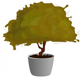 植物/植物
