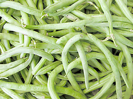 新鲜的绿色豆品种