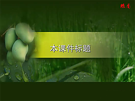 生物教学