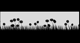 植物的摆动AE源文件