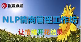 NLP情商工作坊
