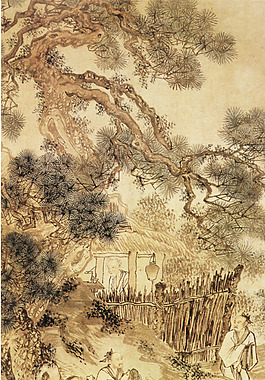 庭院