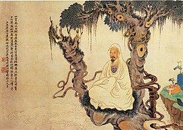 树上的长老