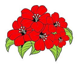 红色的花束矢量