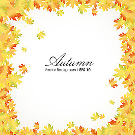 秋天的落叶背景与文本空间