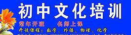 初中文化培训
