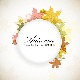 秋天的落叶背景与文本空间