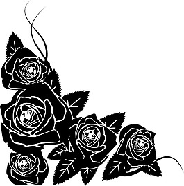 黑玫瑰花图片 黑玫瑰花素材 黑玫瑰花模板免费下载 六图网