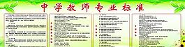 中学教师专业标准