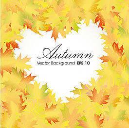 秋天的落叶背景与文本空间